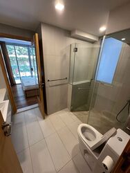 8 @ Mount Sophia (D9), Condominium #613536371